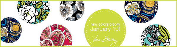 Spring 2012: Launch